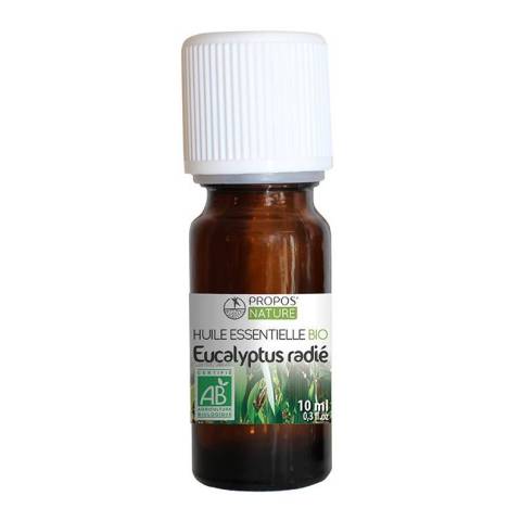 Eucalyptus Radi